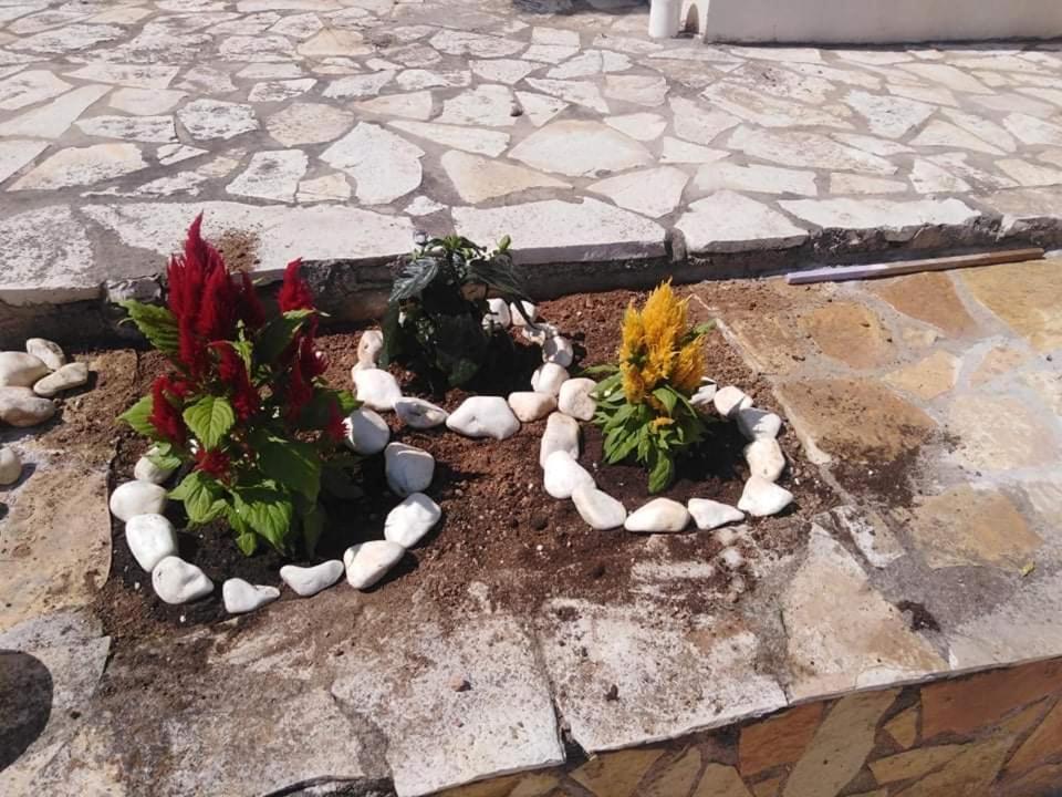 Treasures B&B Paloukia Ngoại thất bức ảnh