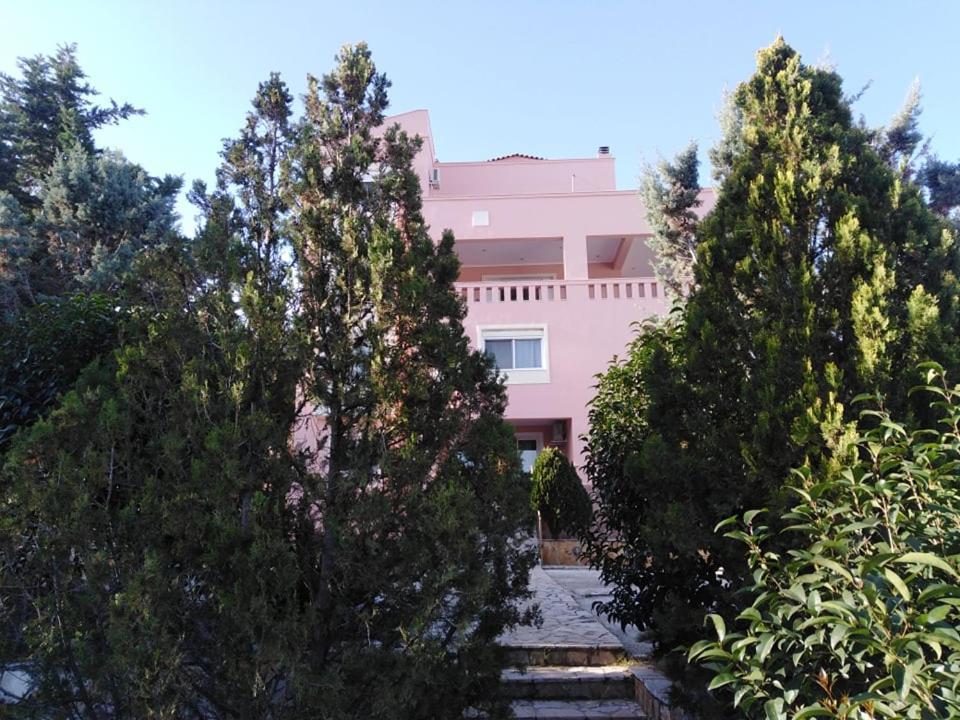 Treasures B&B Paloukia Ngoại thất bức ảnh